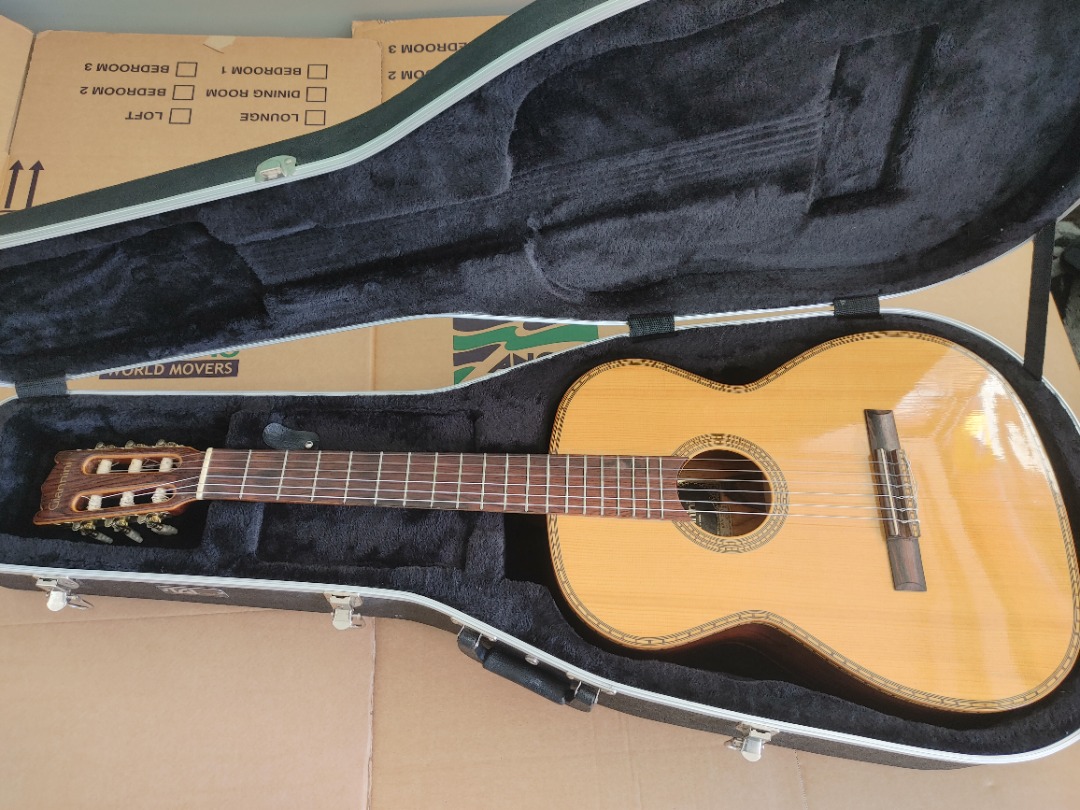 Giannini awn 300 discount