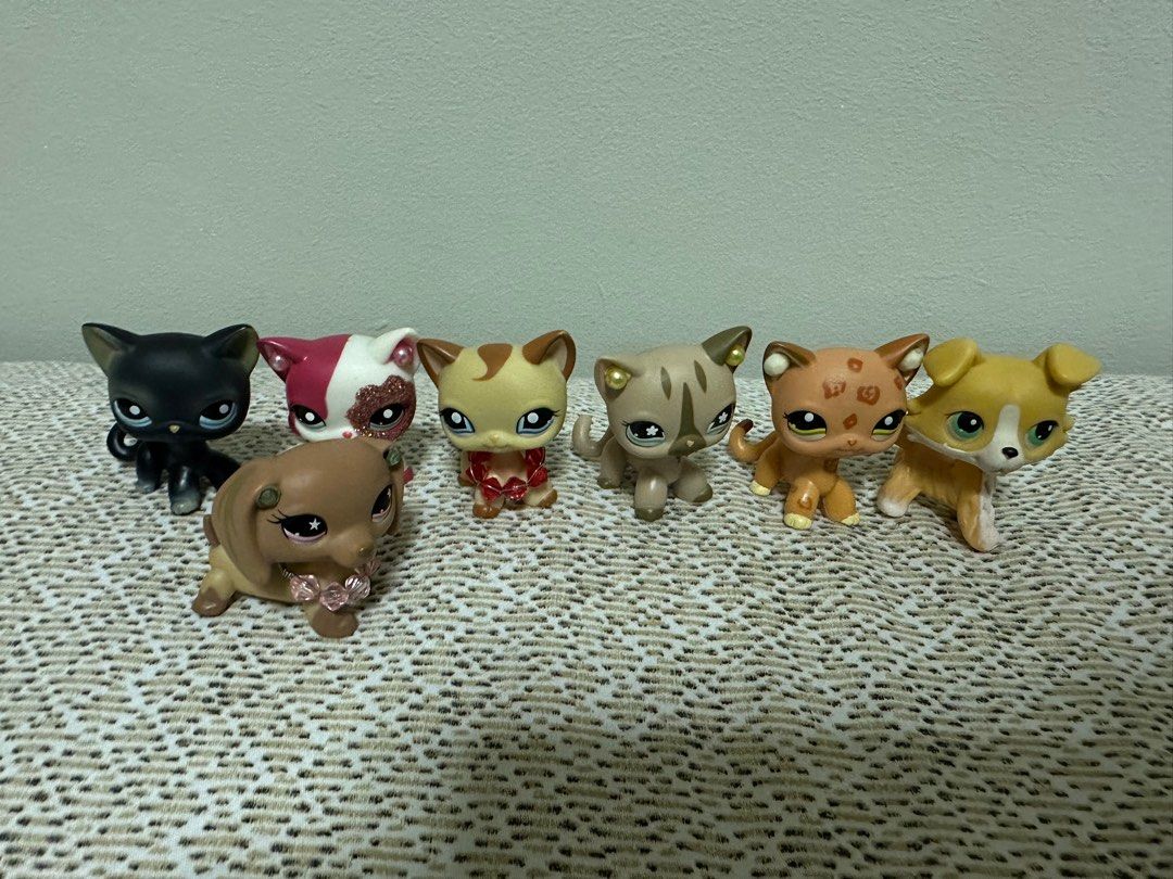 Lps puppies and kittens top