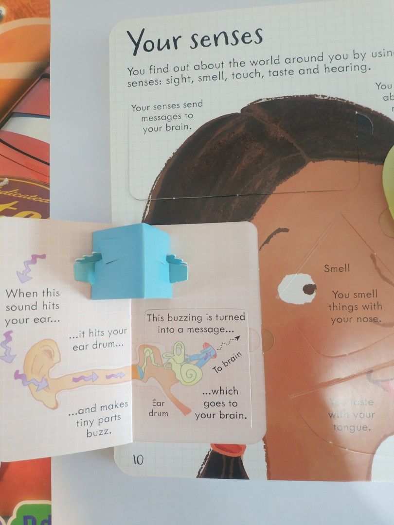 Look inside Your Body (with over 100 flaps to lift), 興趣及遊戲, 書本 & 文具 ...