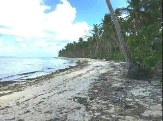 Lot Beach Front in Siargao