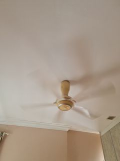 (Category: ) located in . Submitted by veen2611 (Listing ID 1242922534, Image 1). Description: .