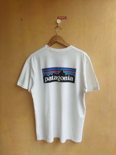 Authentic Patagonia t shirt (large)