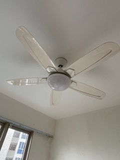 (Category: ) located in . Submitted by ecots (Listing ID 1242338968, Image 1). Description: .
