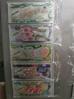 Singapore Dollar   ( IN STOCK )
