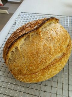 (Category: ) located in . Submitted by Loveforbakes (Listing ID 1213718626, Image 1). Description: .