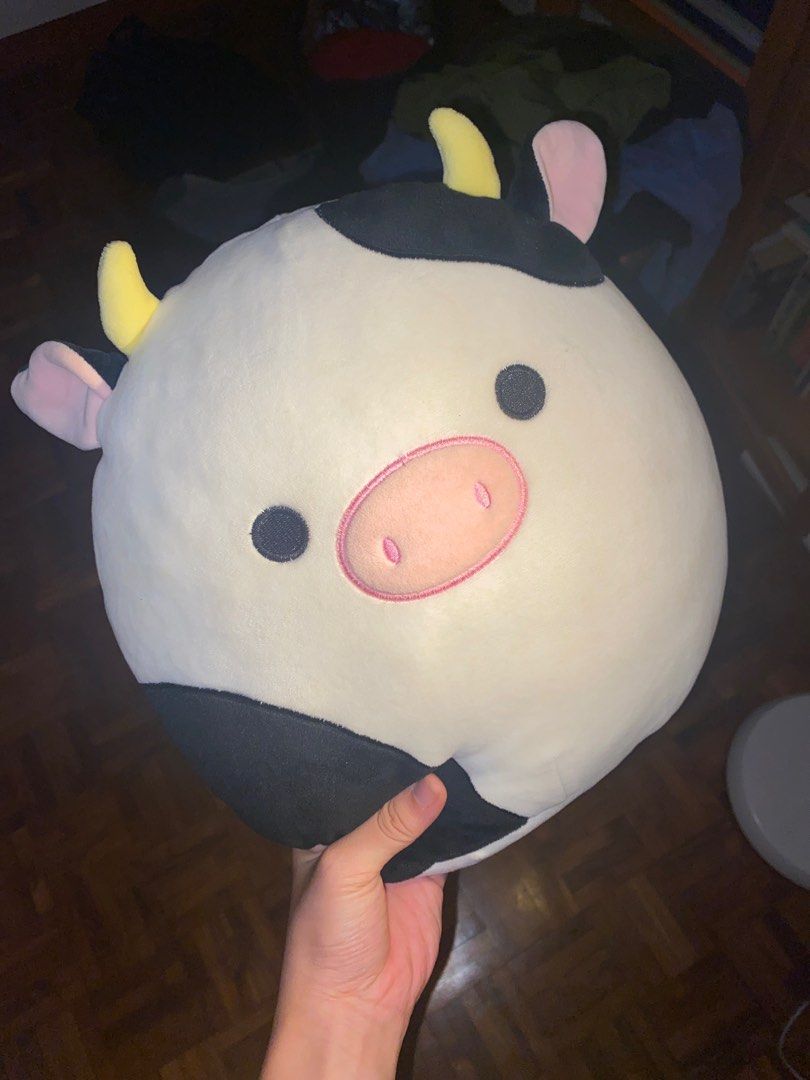 Squishmallow Connor the Cow, Hobbies & Toys, Toys & Games on Carousell