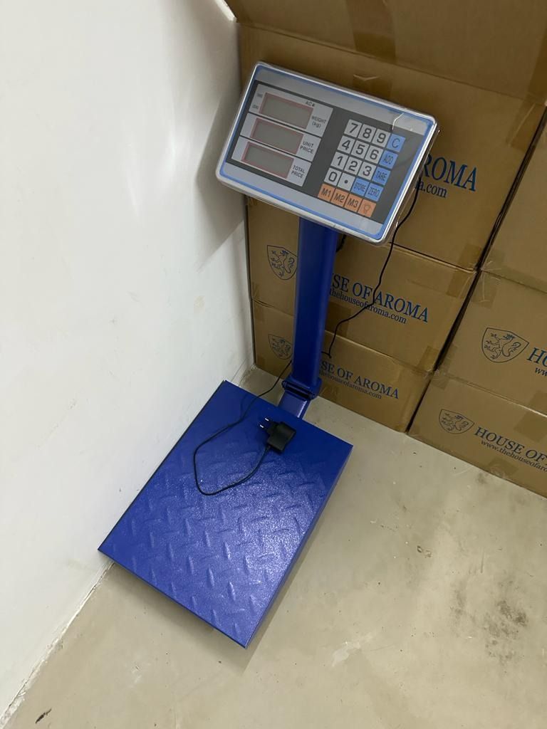 Buy Winner 300kg 6V Stainless Steel High Quality Digital Weight