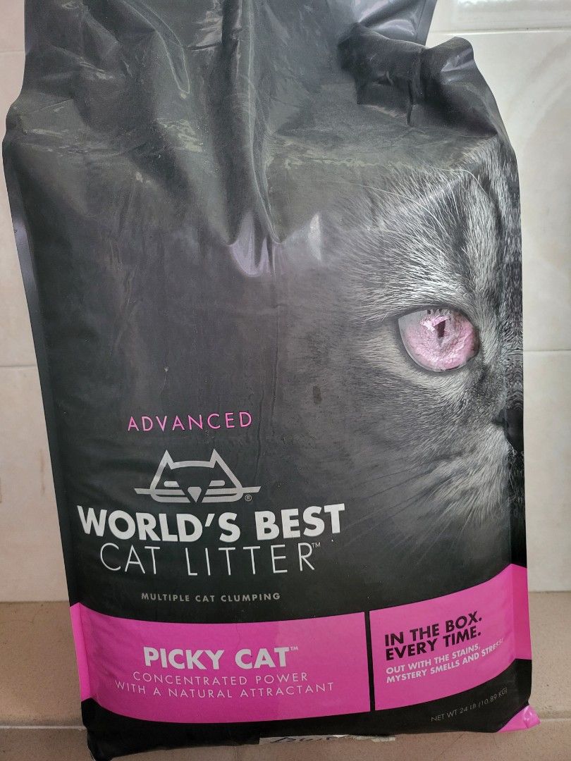 World best cat litter pet supplies homes other pet accessories on