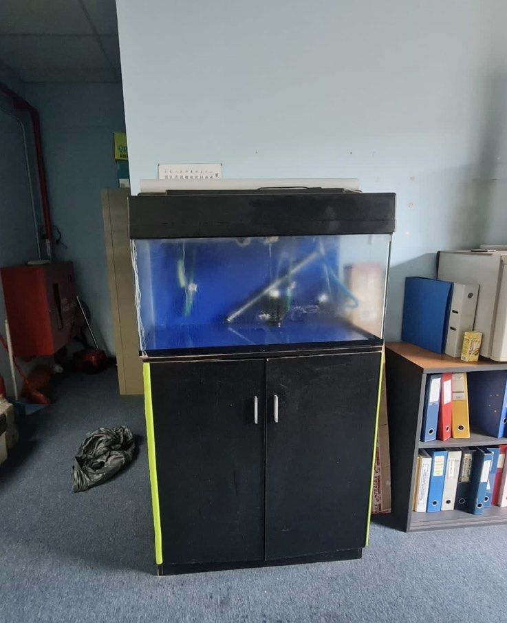 Eheim shop fish tanks