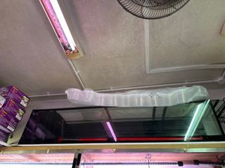 (Category: ) located in . Submitted by 7t6jv95746 (Listing ID 1243164225, Image 1). Description: .