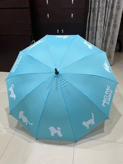 全新塑膠套都還在-十股長傘（是雙人大傘！）