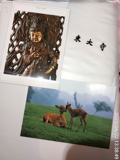 （分類：）位於 。 由 louise199 提交（商品編號 1243249323，圖片 1）。簡介： 。