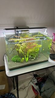 (Category: ) located in . Submitted by neohziwei (Listing ID 1243109849, Image 1). Description: .