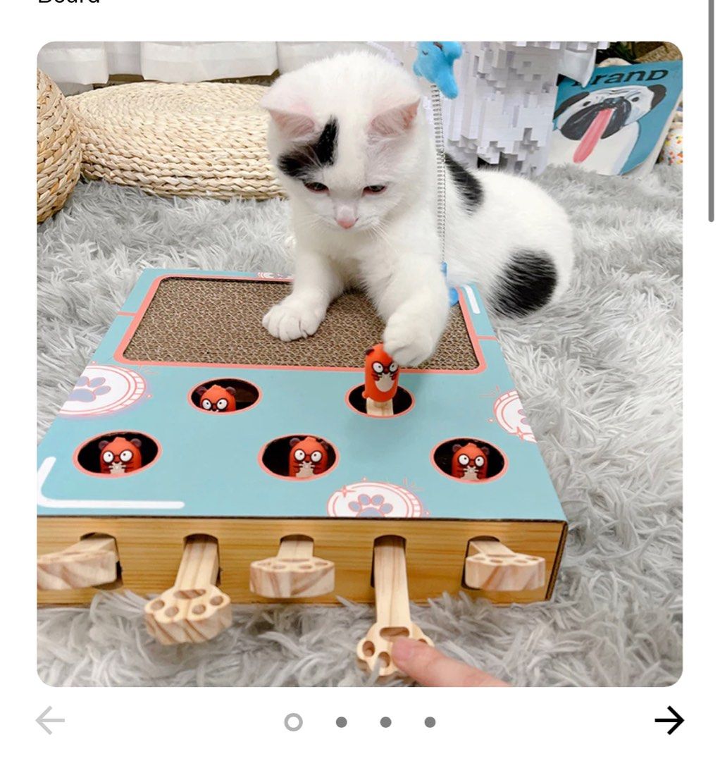 Carno cat toy pop up hotsell