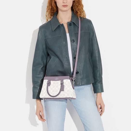 Coach darcie 👜 (Category: Luxury Bags & Wallets) located in Las Pinas. Submitted by yhn_boutique (Listing ID 1243262202, Image 3). Description: New arrival 📌Actual pic posted 📌cod via lalamove/ grab 📌J&T pay today ship today 📌 complete inclusions .
