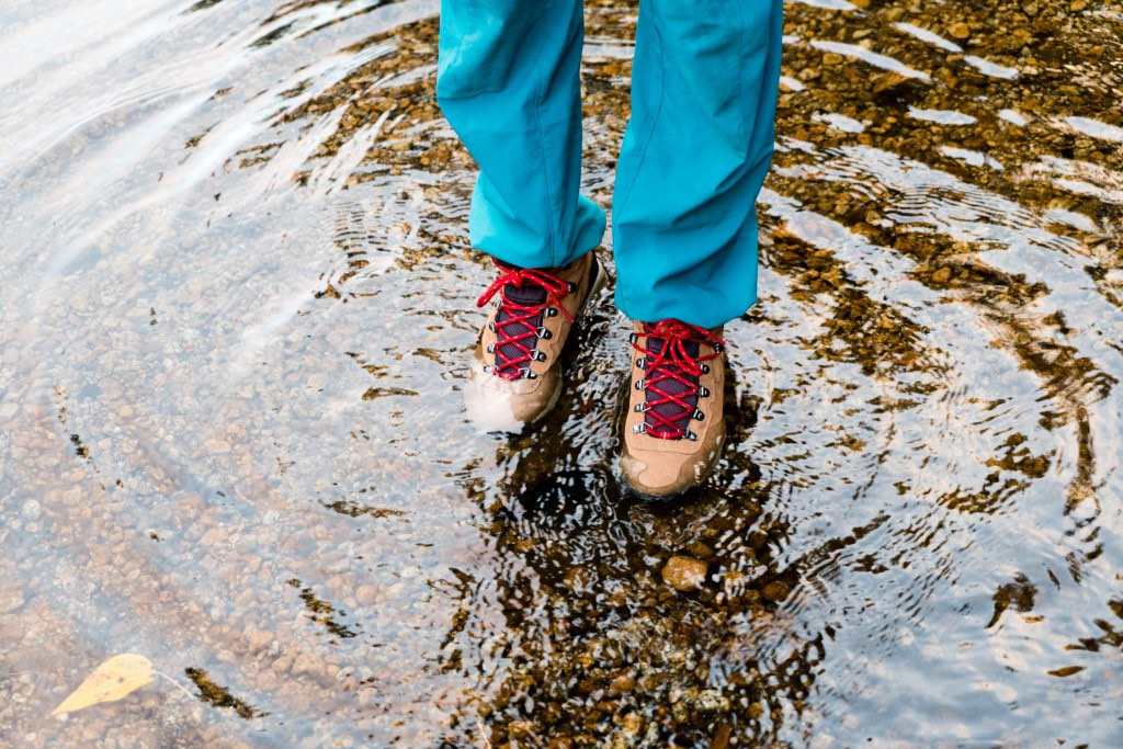 Newton ridge hiking boot online