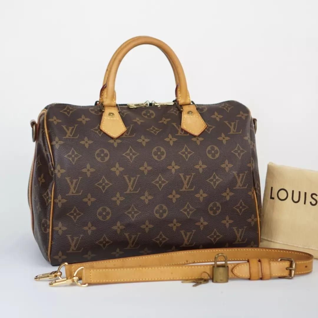 Preloved Speedy Louis Vuitton, Barang Mewah, Tas & Dompet di Carousell