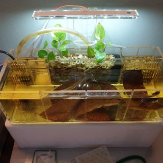 (Category: ) located in . Submitted by racman96 (Listing ID 1243104561, Image 1). Description: .