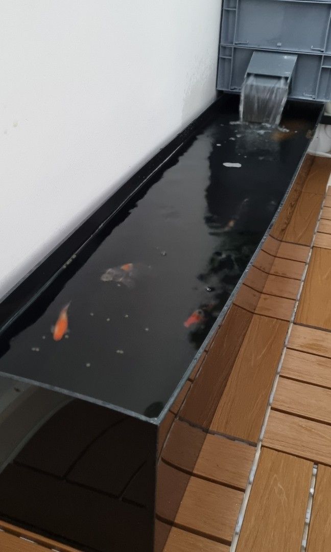 Small Koi Fish pond for sale, Pet Supplies, Homes & Other Pet
