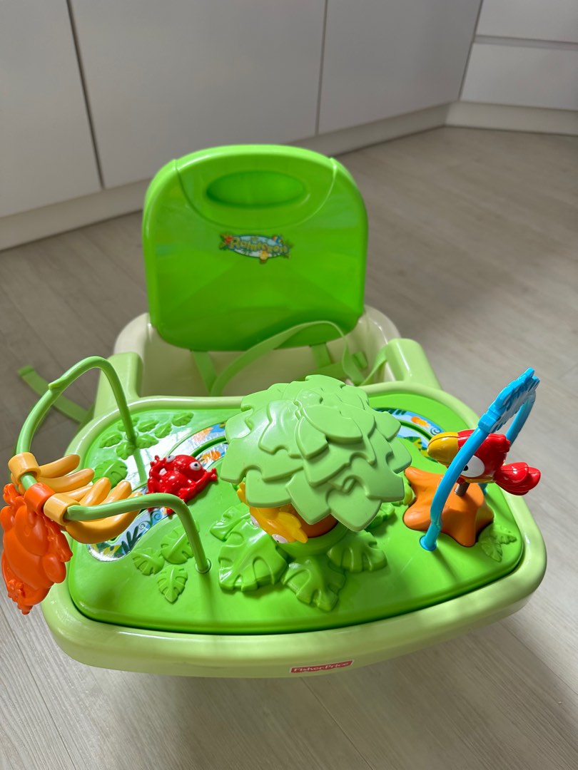 Fisherprice rainforest booster seat