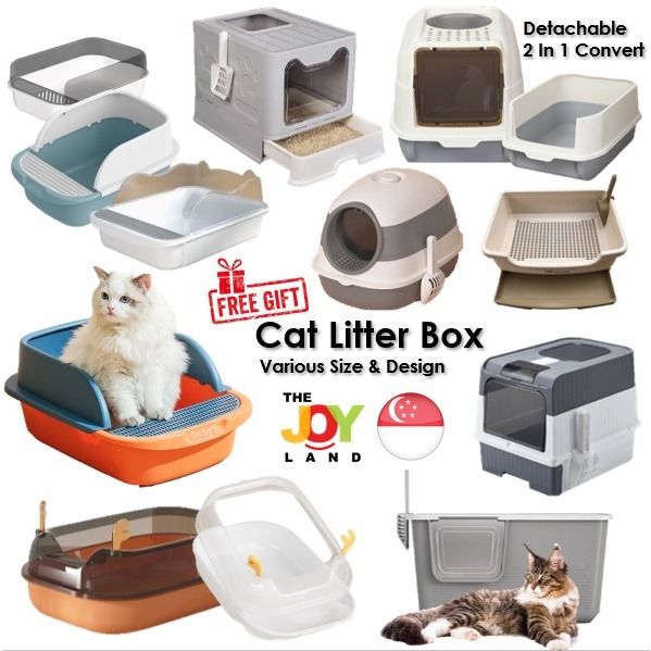 Big cat little box shop