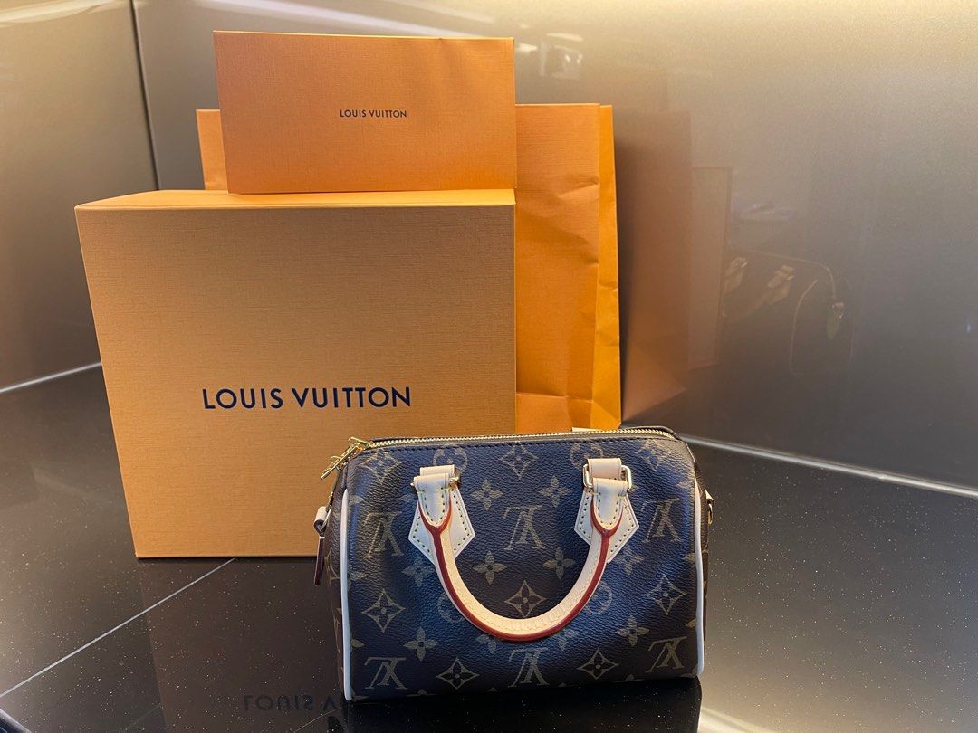 Bag Organizer for Louis Vuitton Speedy 20 - Zoomoni