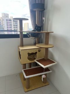 (Category: ) located in . Submitted by afung (Listing ID 1243153828, Image 1). Description: .