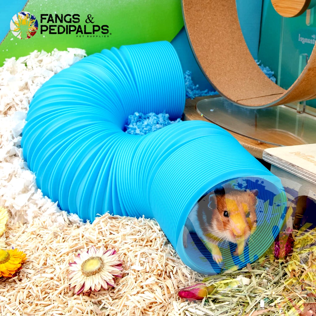 RETRACTABLE HAMSTER TUNNEL, Pet Supplies, Homes & Other Pet Accessories ... - Designs Hamster Fun Tunnel