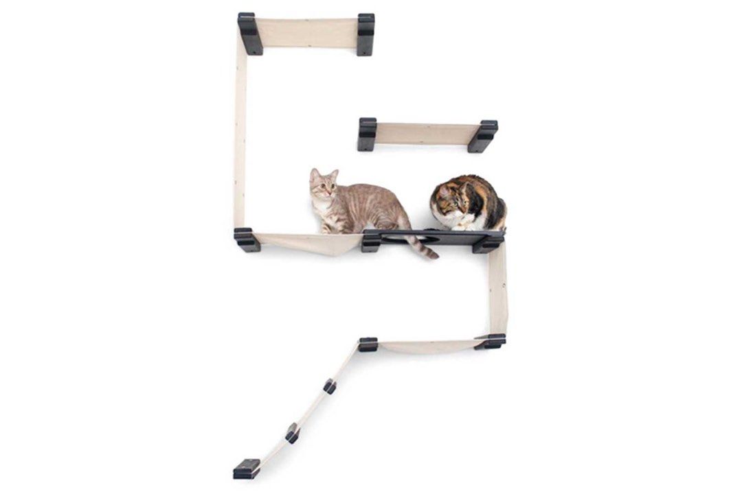 Catastrophic cat furniture sales