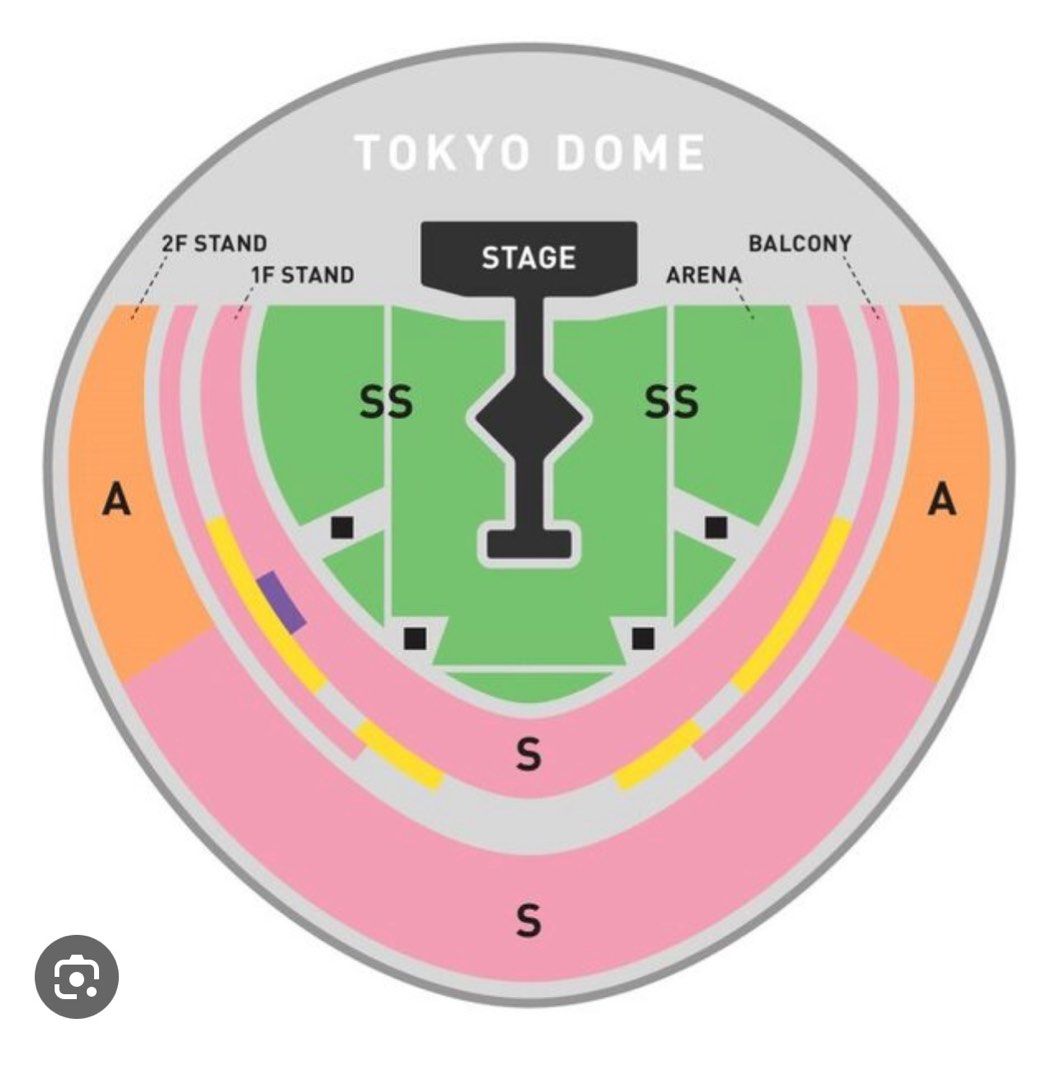 WANT > Pair of Taylor Swift tickets TOKYO 7 Feb 2024, Tickets