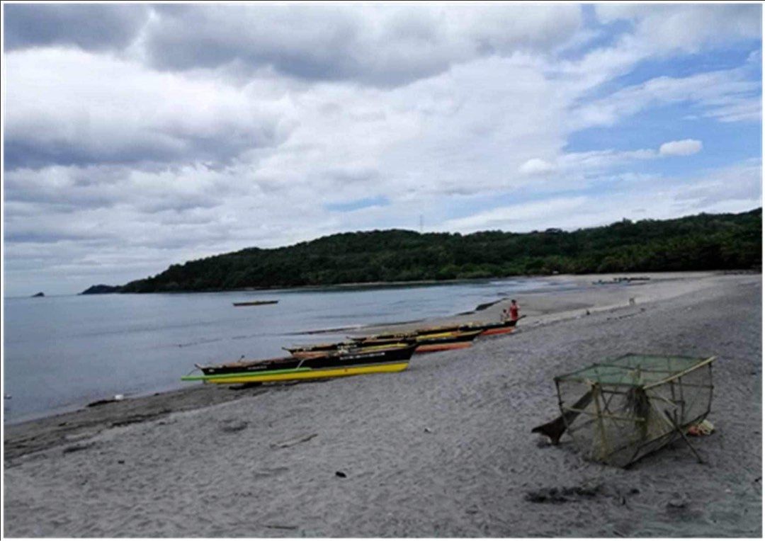 11 Hectares land in Sitio Gantuan Nagbalayong Morong Bataan, Property