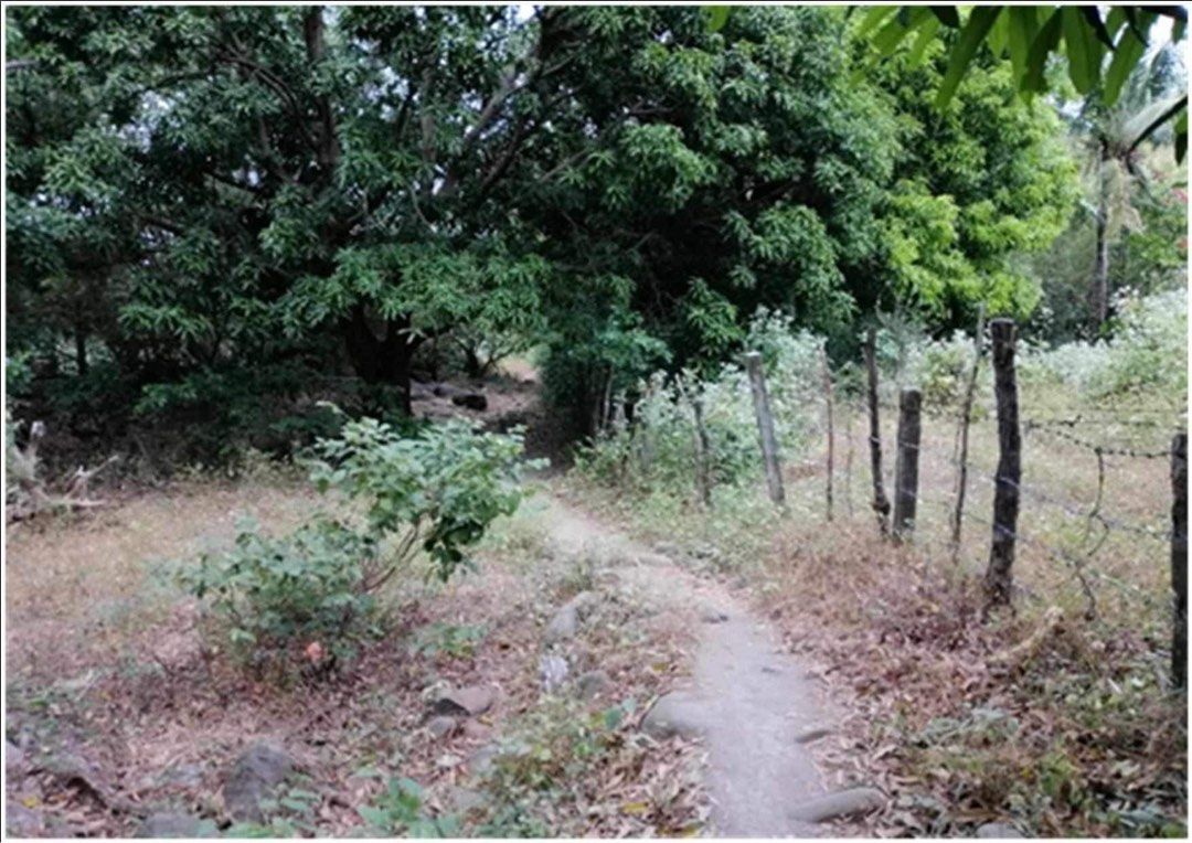 11 Hectares land in Sitio Gantuan Nagbalayong Morong Bataan, Property