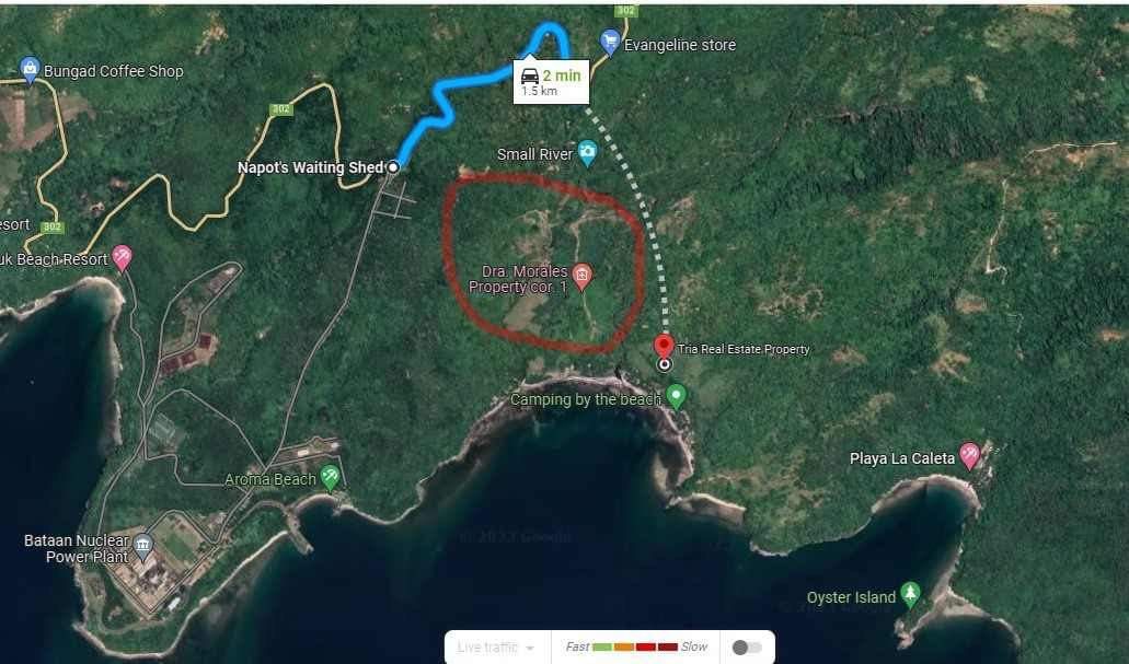 11 Hectares land in Sitio Gantuan Nagbalayong Morong Bataan, Property