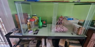 (Category: ) located in . Submitted by canny1995 (Listing ID 1243324477, Image 1). Description: .