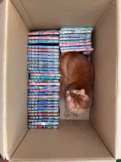 （分類：）位於 。 由 burning_in_hell 提交（商品編號 1243329477，圖片 1）。簡介： 。