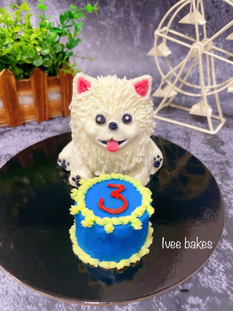 Maltese on sale dog cake