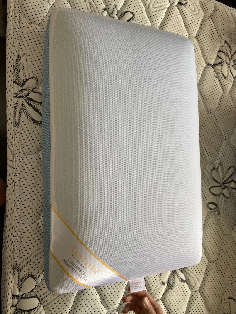 Ann store taylor pillow