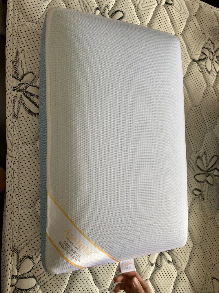Ann store taylor pillow