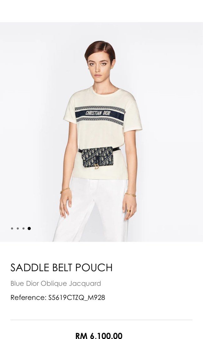 Dior pouch deals belt bag