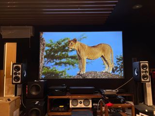 (Category: ) located in . Submitted by element5_projector (Listing ID 1179572519, Image 1). Description: .
