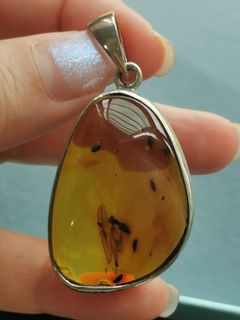 (Category: ) located in . Submitted by shopwithtt (Listing ID 1243440258, Image 1). Description: .