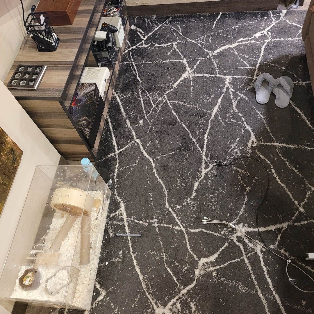 carpetworld-carpet-on-carousell