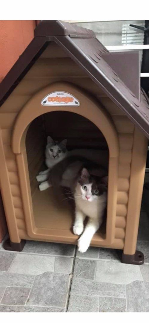 Ace hardware deals dog pen