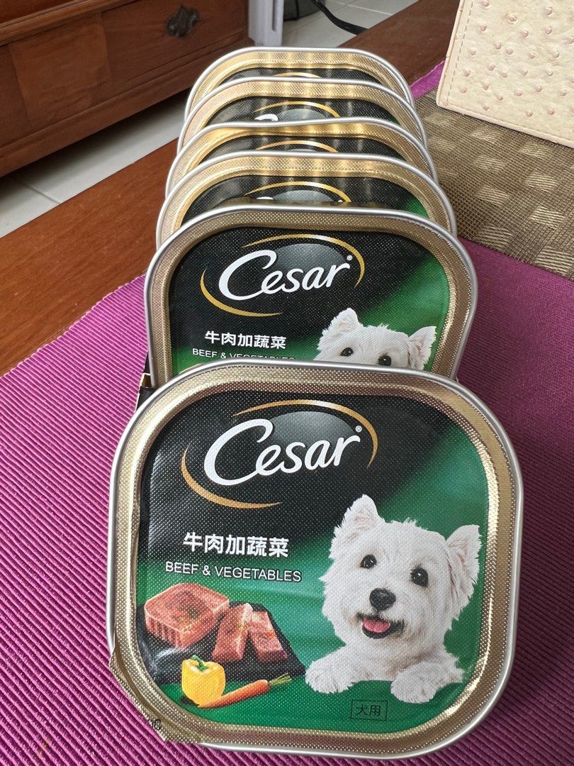 Cesar Dog Food, Pet Supplies, Pet Food on Carousell