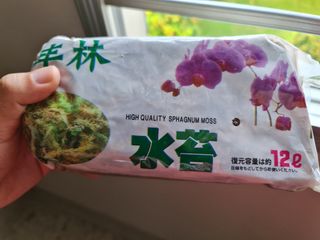 (Category: ) located in . Submitted by waynechua2005 (Listing ID 1243291869, Image 1). Description: .