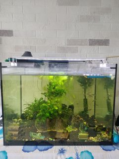 (Category: ) located in . Submitted by angkenneth (Listing ID 1243342857, Image 1). Description: .