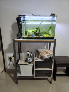 (Category: ) located in . Submitted by cecilia69 (Listing ID 1243423757, Image 1). Description: .