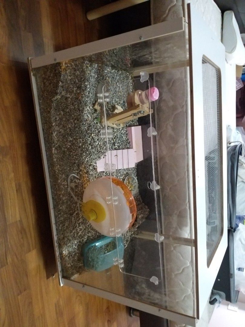 Visual Reference: Hamster Cage Pet Supplies Homes Other Pet Accessories On Carousell