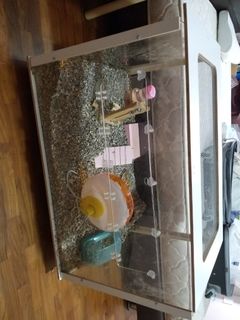 (Category: ) located in . Submitted by ktdarrren (Listing ID 1243408393, Image 1). Description: .