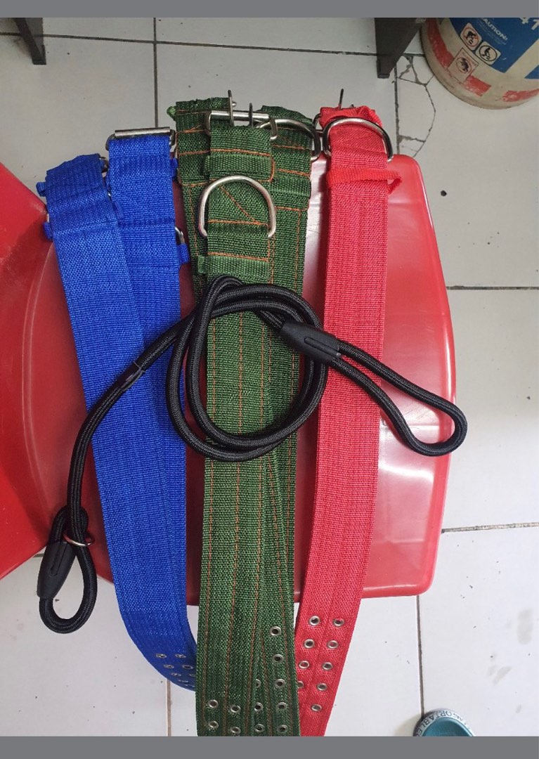 heavy duty dog collars, Pet Supplies, Homes & Other Pet Accessories on